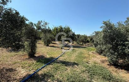 Urla’da Satılık Müstakil Havuzlu Malikane