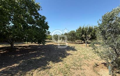 Urla’da Satılık Müstakil Havuzlu Malikane