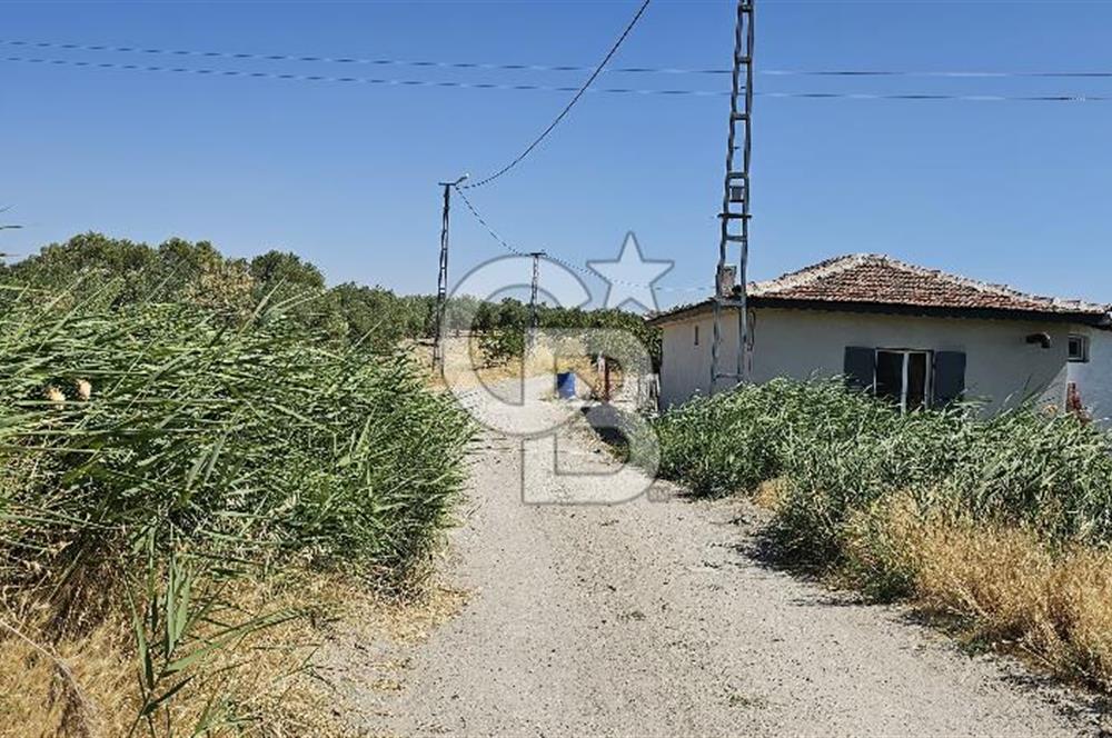 AKHİSAR BALLICA MAHALLESİNDE SATILIK 10950M2 TARLA 