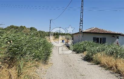 AKHİSAR BALLICA MAHALLESİNDE SATILIK 10950M2 TARLA 