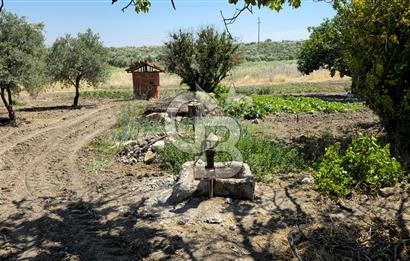 AKHİSAR BALLICA MAHALLESİNDE SATILIK 10950M2 TARLA 