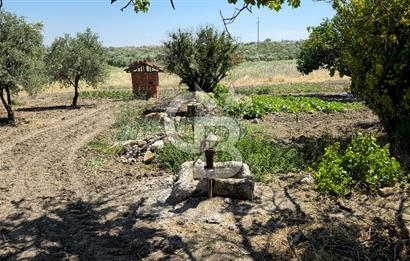 AKHİSAR BALLICA MAHALLESİNDE SATILIK 10950M2 TARLA 