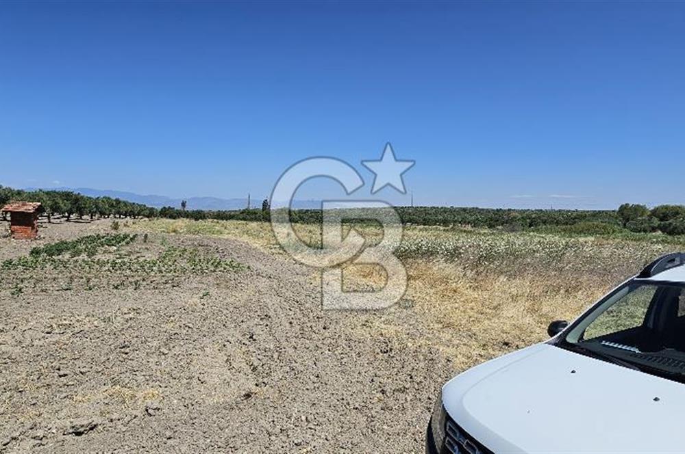 AKHİSAR BALLICA MAHALLESİNDE SATILIK 10950M2 TARLA 