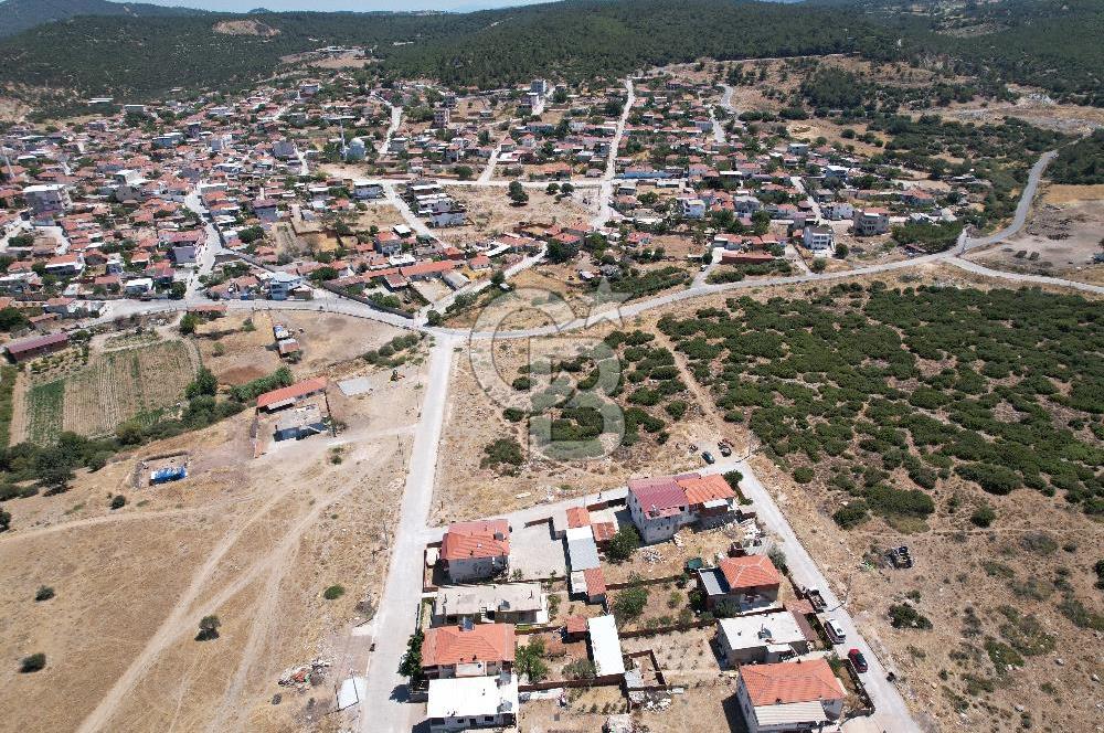 Bergama Zeytindağ Da Satılık EV ARsa