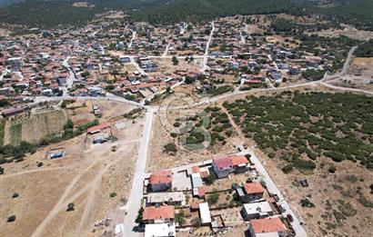 Bergama Zeytindağ Da Satılık EV ARsa