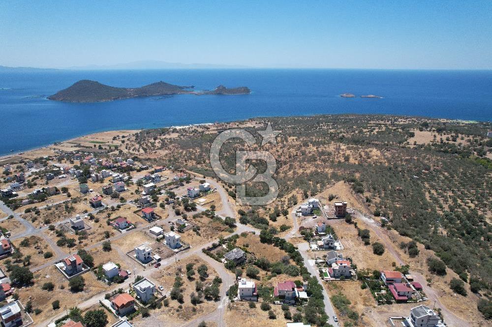 Çandarlı Bimeyko DA satılık Villa Arsası
