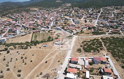 Bergama Zeytindağ Da Satılık EV ARsa