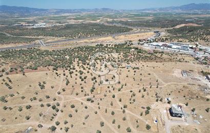 Bergama Zeytindağ Da Satılık EV ARsa