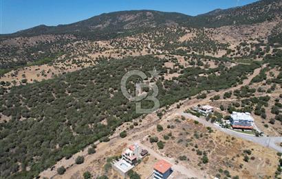 Çandarlı Bimeyko DA satılık Villa Arsası