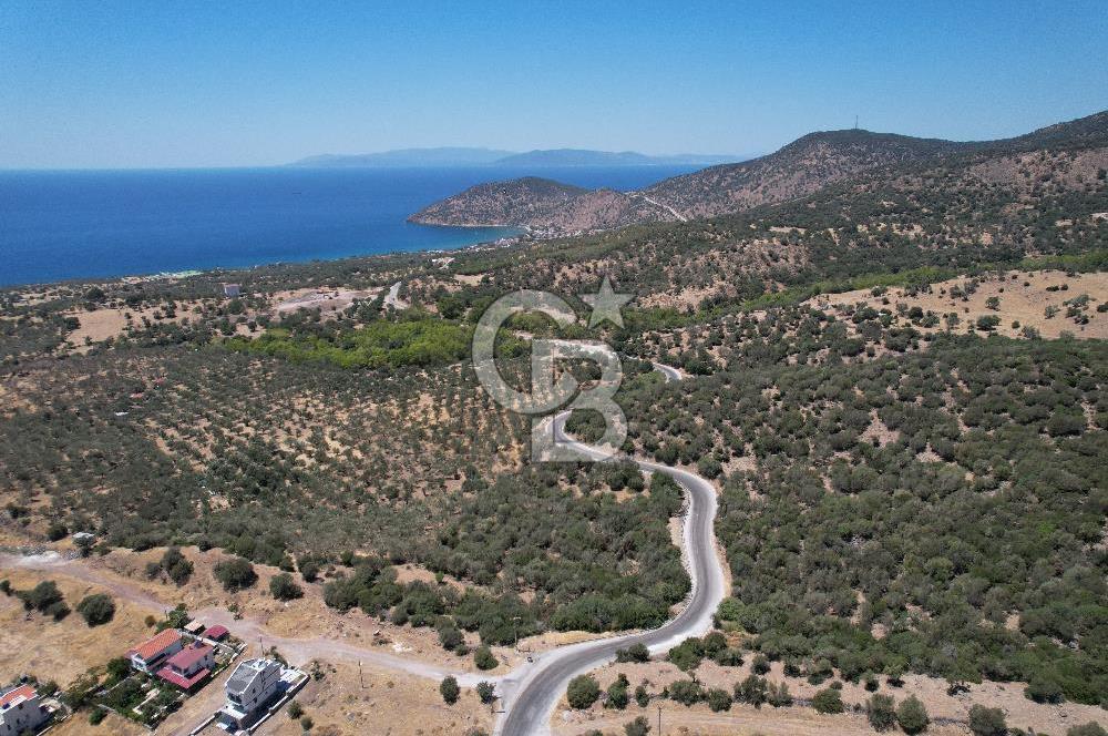 Çandarlı Bimeyko DA satılık Villa Arsası