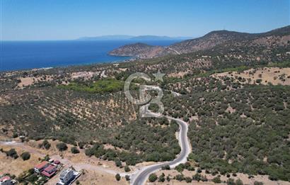Çandarlı Bimeyko DA satılık Villa Arsası