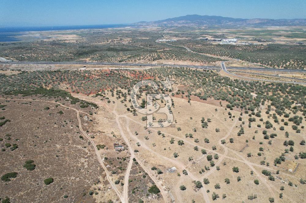 Bergama Zeytindağ Da Satılık EV ARsa