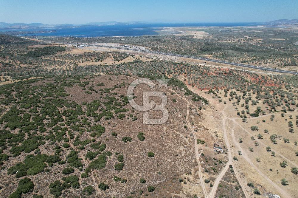 Bergama Zeytindağ Da Satılık EV ARsa