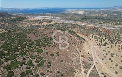 Bergama Zeytindağ Da Satılık EV ARsa