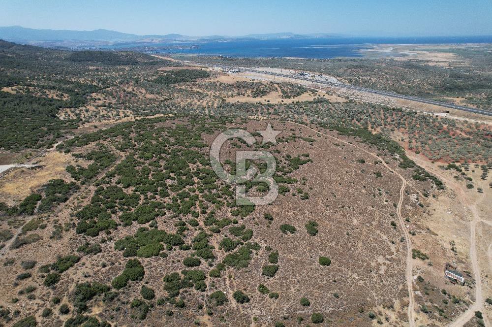 Bergama Zeytindağ Da Satılık EV ARsa