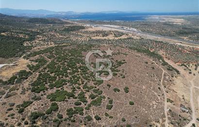 Bergama Zeytindağ Da Satılık EV ARsa