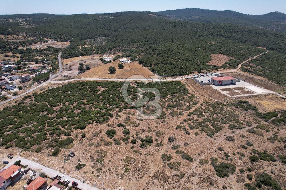 Bergama Zeytindağ Da Satılık EV ARsa