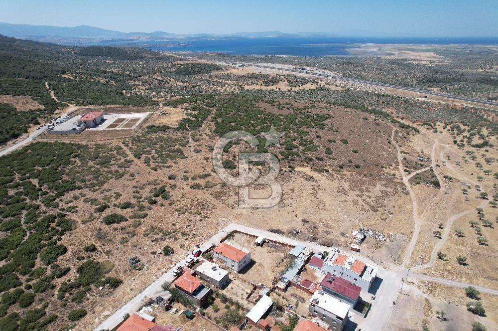 Bergama Zeytindağ Da Satılık EV ARsa