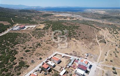 Bergama Zeytindağ Da Satılık EV ARsa