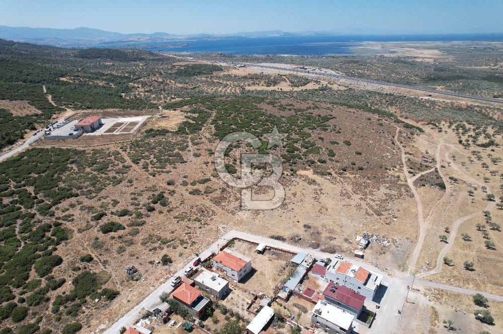 Bergama Zeytindağ Da Satılık EV ARsa