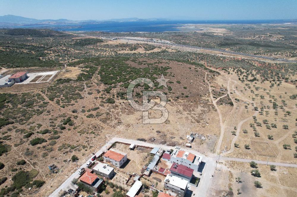 Bergama Zeytindağ Da Satılık EV ARsa