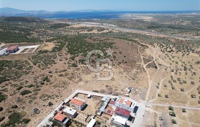 Bergama Zeytindağ Da Satılık EV ARsa