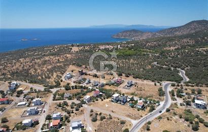 Çandarlı Bimeyko DA satılık Villa Arsası