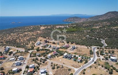 Çandarlı Bimeyko DA satılık Villa Arsası