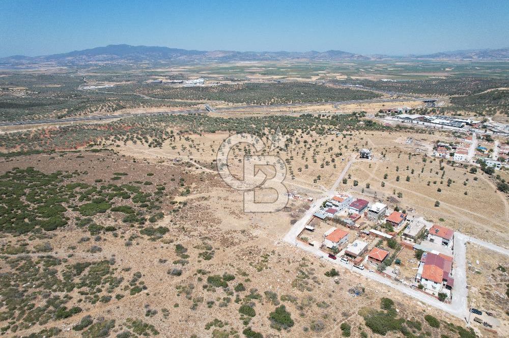 Bergama Zeytindağ Da Satılık EV ARsa