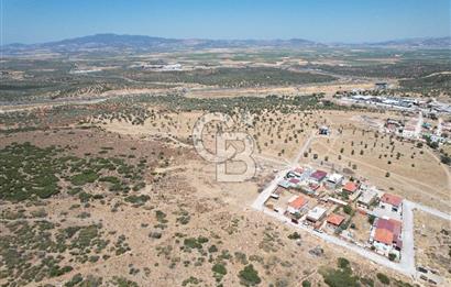 Bergama Zeytindağ Da Satılık EV ARsa