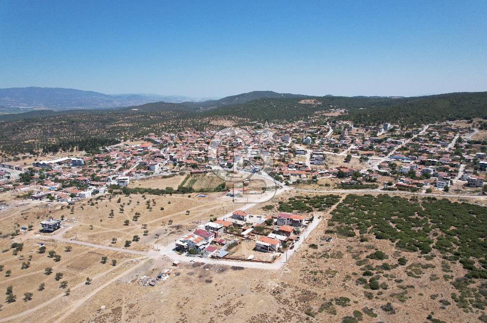 Bergama Zeytindağ Da Satılık EV ARsa