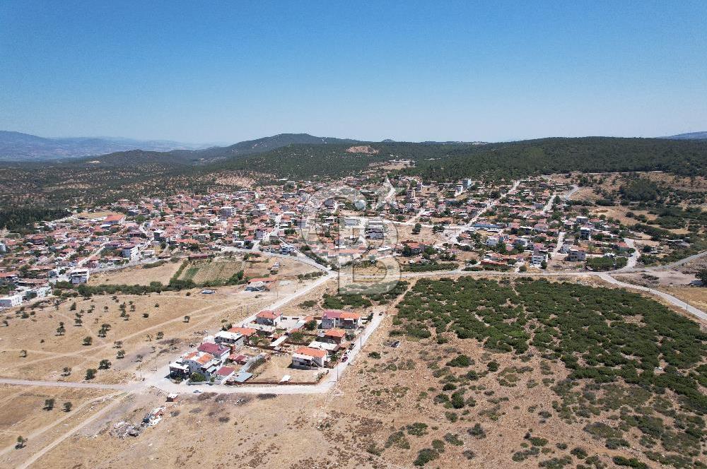 Bergama Zeytindağ Da Satılık EV ARsa