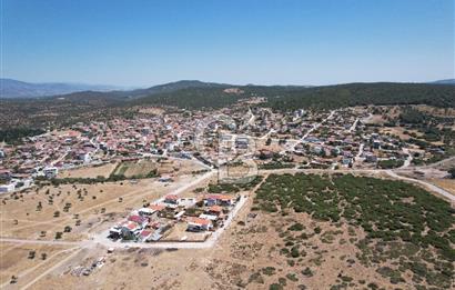 Bergama Zeytindağ Da Satılık EV ARsa