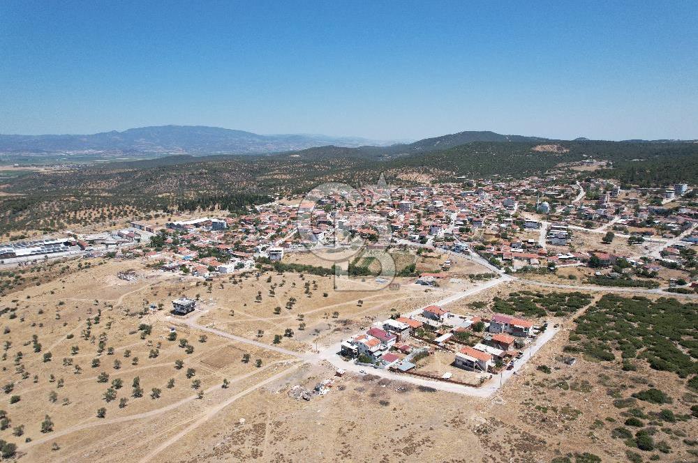 Bergama Zeytindağ Da Satılık EV ARsa