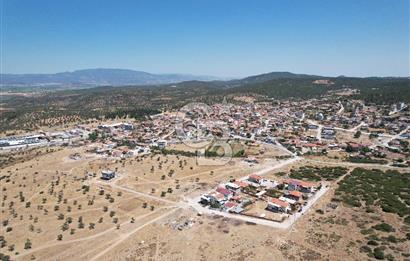 Bergama Zeytindağ Da Satılık EV ARsa