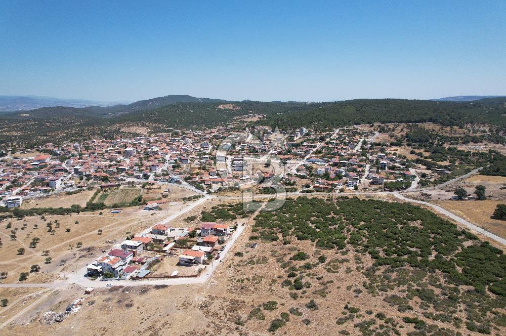 Bergama Zeytindağ Da Satılık EV ARsa