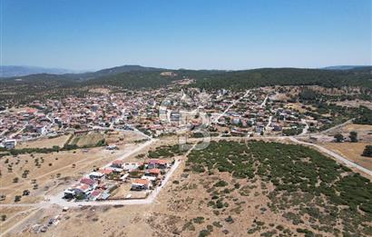 Bergama Zeytindağ Da Satılık EV ARsa