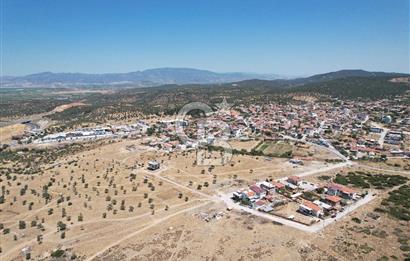 Bergama Zeytindağ Da Satılık EV ARsa