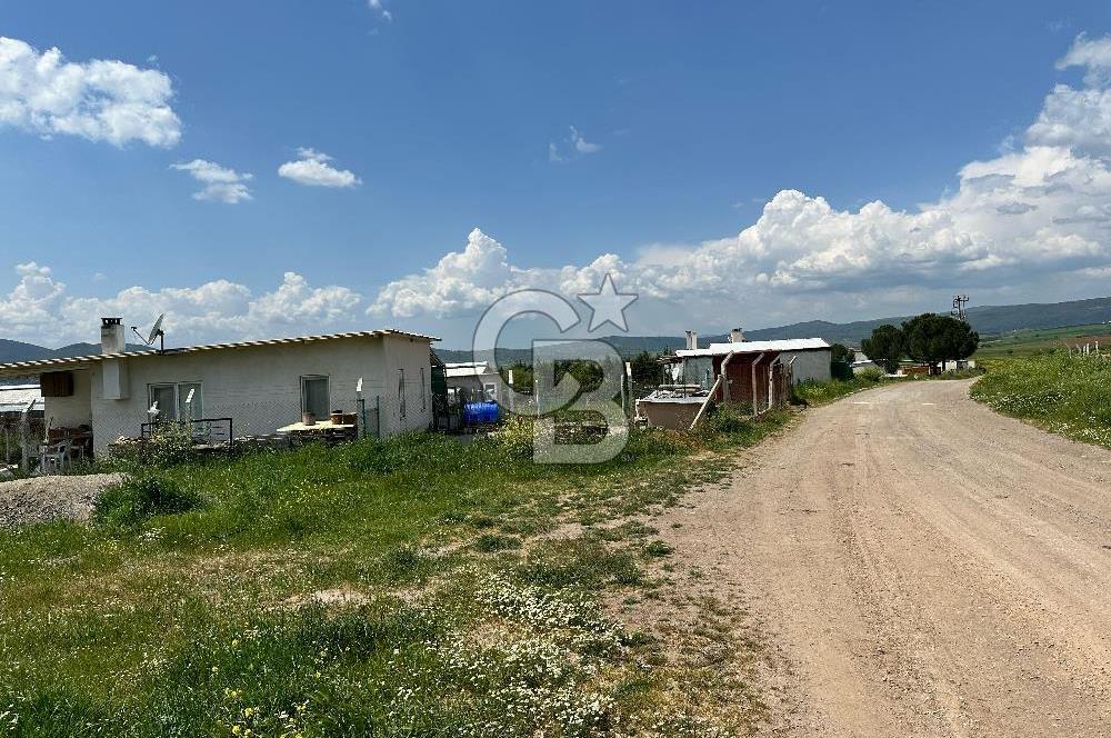 BALIKESİR KARESİ IŞIKLAR'DA SATILIK TARLA