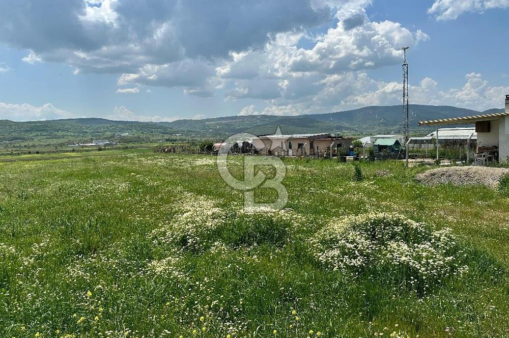 BALIKESİR KARESİ IŞIKLAR'DA SATILIK TARLA