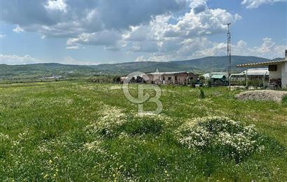 BALIKESİR KARESİ IŞIKLAR'DA SATILIK TARLA