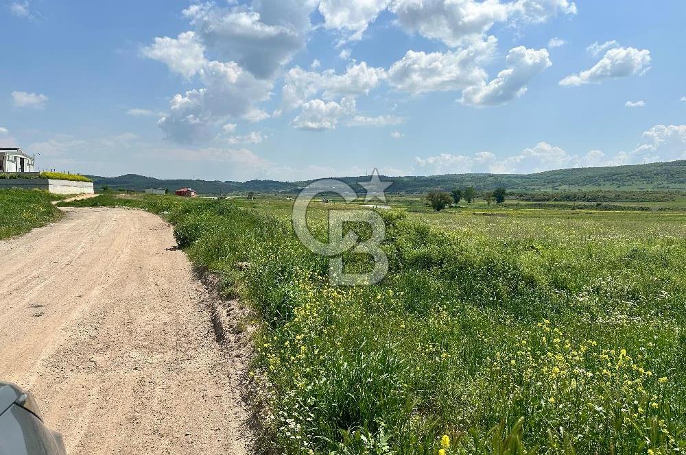BALIKESİR KARESİ IŞIKLAR'DA SATILIK TARLA