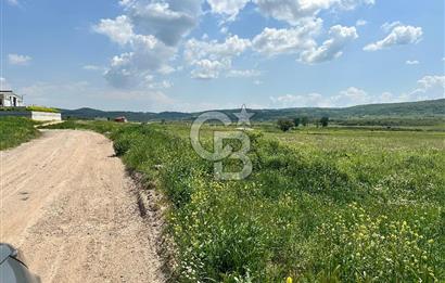 BALIKESİR KARESİ IŞIKLAR'DA SATILIK TARLA