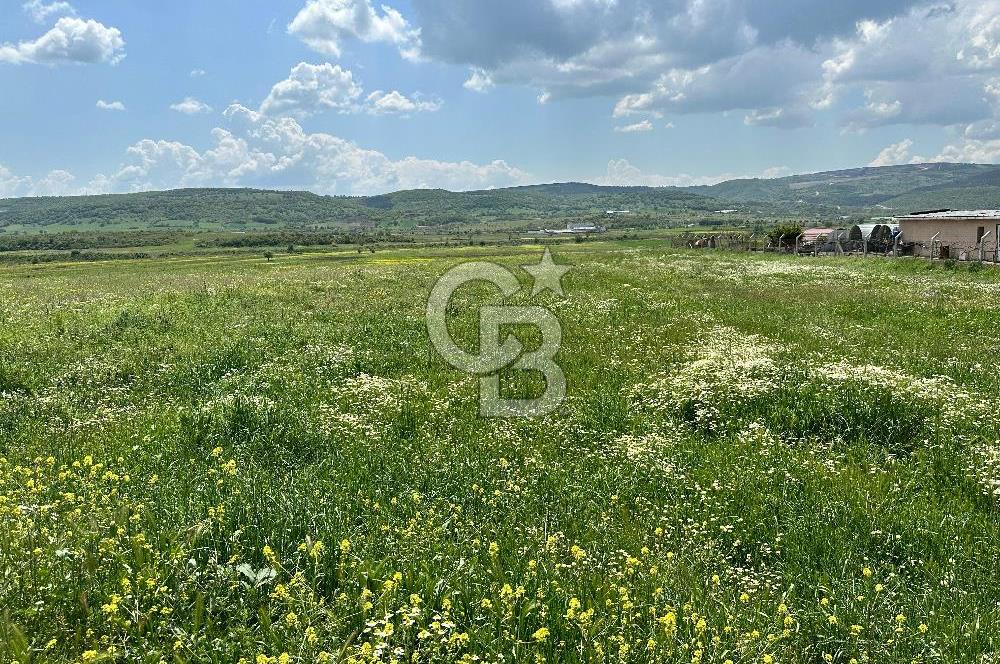 BALIKESİR KARESİ IŞIKLAR'DA SATILIK TARLA