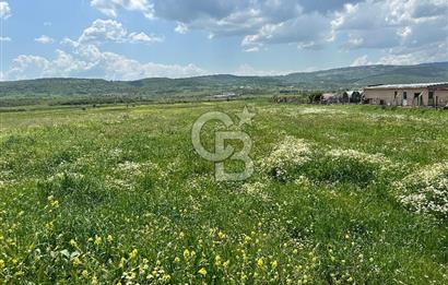 BALIKESİR KARESİ IŞIKLAR'DA SATILIK TARLA