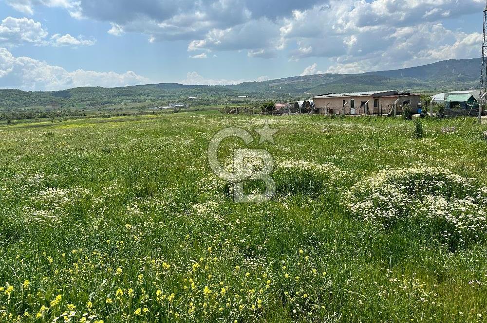 BALIKESİR KARESİ IŞIKLAR'DA SATILIK TARLA