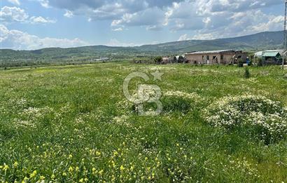 BALIKESİR KARESİ IŞIKLAR'DA SATILIK TARLA