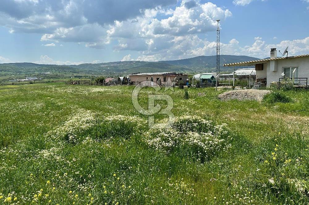 BALIKESİR KARESİ IŞIKLAR'DA SATILIK TARLA
