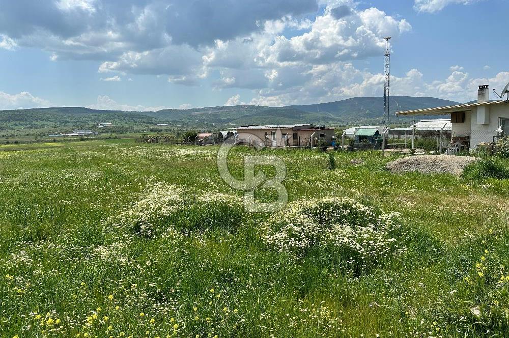 BALIKESİR KARESİ IŞIKLAR'DA SATILIK TARLA