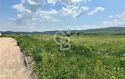 BALIKESİR KARESİ IŞIKLAR'DA SATILIK TARLA